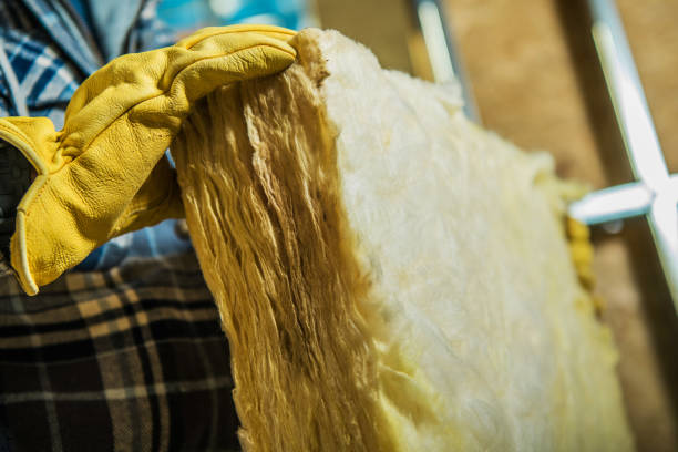 Best Insulation Installation Services in Quitman, TX